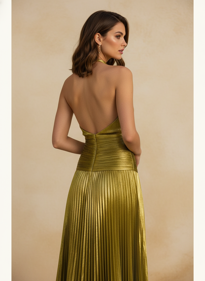 Vestido Delfina - Vista de espalda